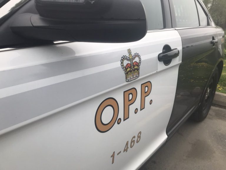 Teenager facing six charges in Parry Sound pullover