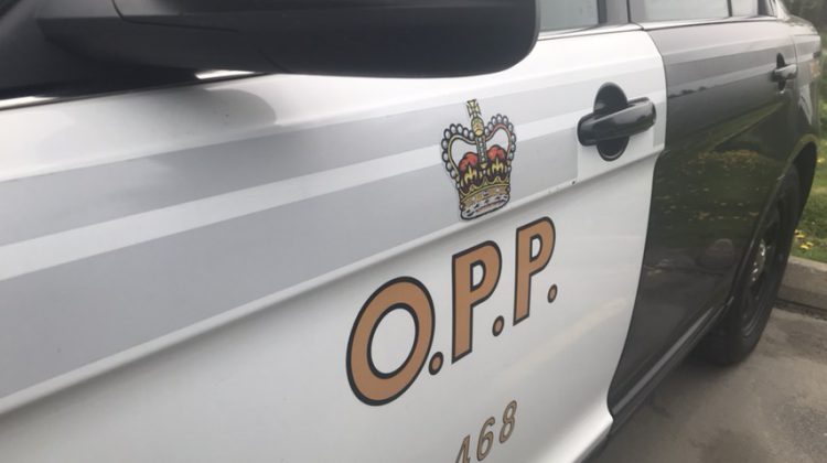 OPP stats in from labour day weekend blitz