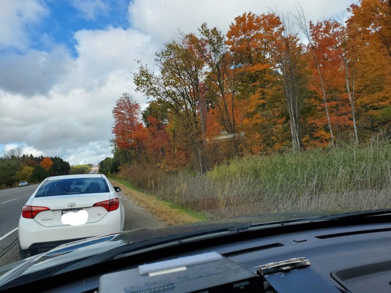OPP warn leafers not to drive too slow