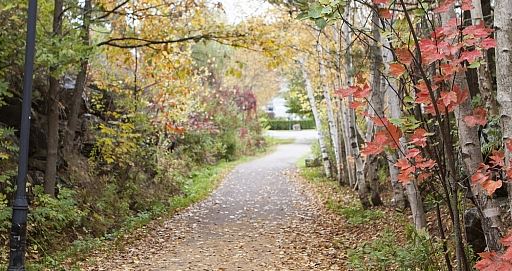 Main Fitness Trail remains open; Town of Parry Sound