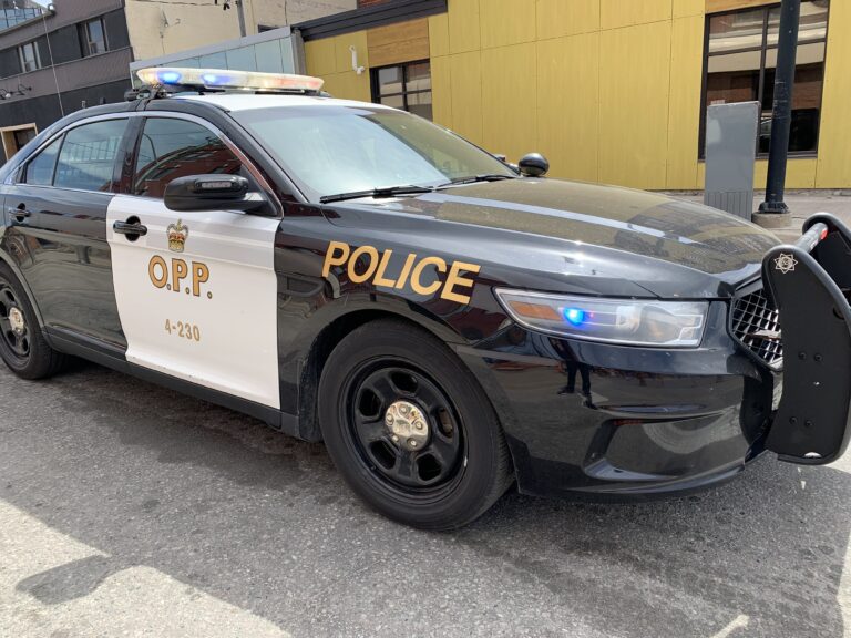 West Parry Sound OPP holding recruitment Meet’N’Greet this Saturday