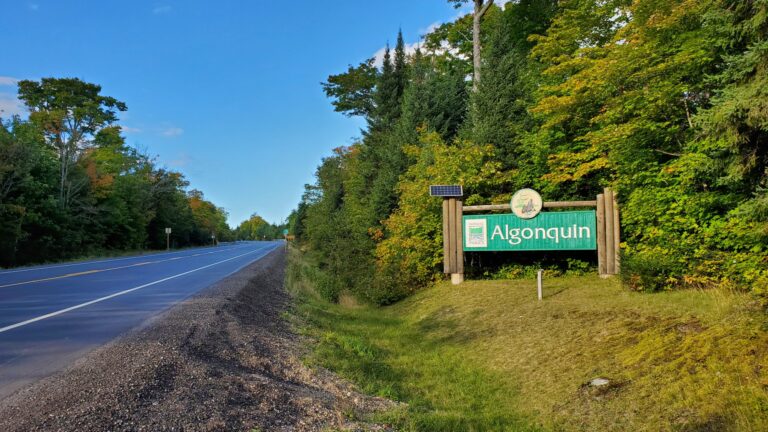 New cabins, yurts available for booking at Algonquin Park